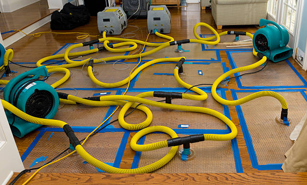 Professional Water Extraction technician working in Dexter, MI
